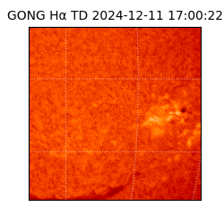 gong - 2024-12-11T17:00:22