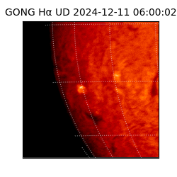 gong - 2024-12-11T06:00:02