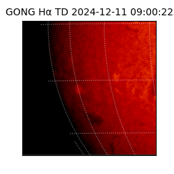 gong - 2024-12-11T09:00:22