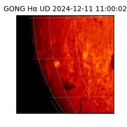 gong - 2024-12-11T11:00:02