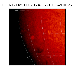 gong - 2024-12-11T14:00:22