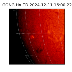 gong - 2024-12-11T16:00:22