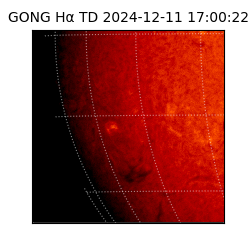 gong - 2024-12-11T17:00:22