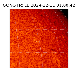 gong - 2024-12-11T01:00:42