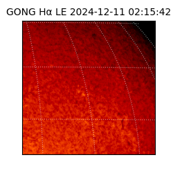 gong - 2024-12-11T02:15:42