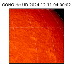 gong - 2024-12-11T04:00:02