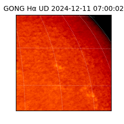 gong - 2024-12-11T07:00:02