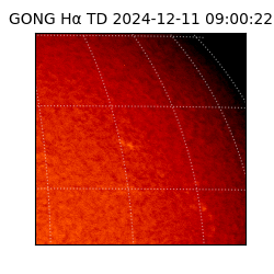 gong - 2024-12-11T09:00:22