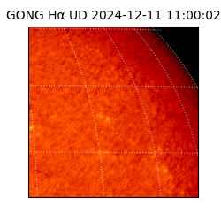 gong - 2024-12-11T11:00:02