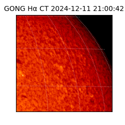 gong - 2024-12-11T21:00:42