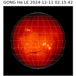 gong - 2024-12-11T02:15:42