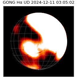 gong - 2024-12-11T03:05:02