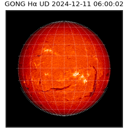 gong - 2024-12-11T06:00:02