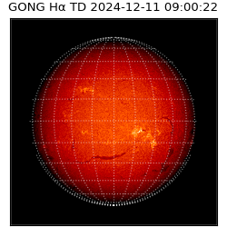 gong - 2024-12-11T09:00:22