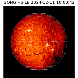 gong - 2024-12-11T10:00:42