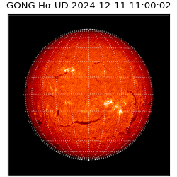 gong - 2024-12-11T11:00:02