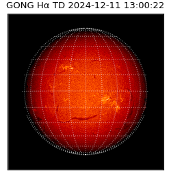 gong - 2024-12-11T13:00:22