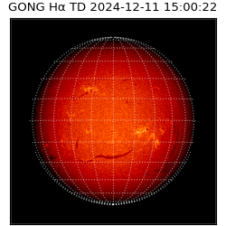 gong - 2024-12-11T15:00:22