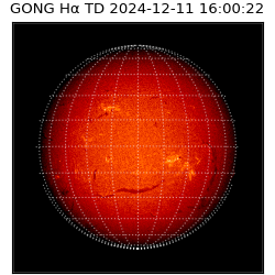 gong - 2024-12-11T16:00:22