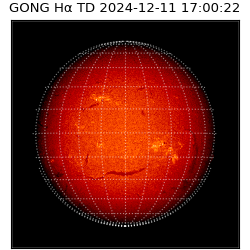 gong - 2024-12-11T17:00:22