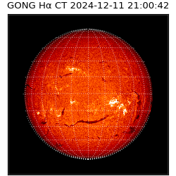 gong - 2024-12-11T21:00:42