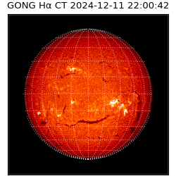 gong - 2024-12-11T22:00:42