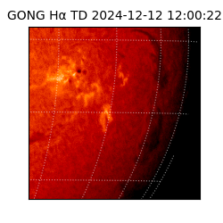 gong - 2024-12-12T12:00:22