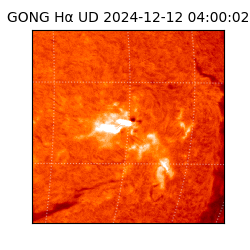 gong - 2024-12-12T04:00:02