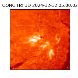 gong - 2024-12-12T05:00:02