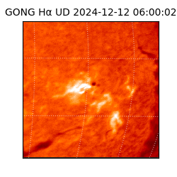 gong - 2024-12-12T06:00:02