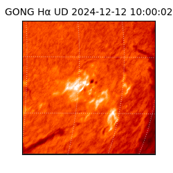 gong - 2024-12-12T10:00:02