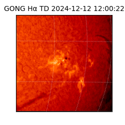 gong - 2024-12-12T12:00:22