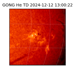 gong - 2024-12-12T13:00:22