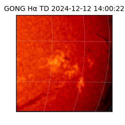 gong - 2024-12-12T14:00:22