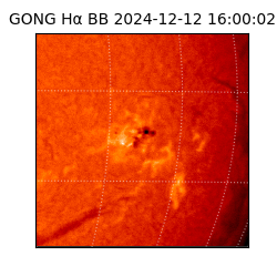 gong - 2024-12-12T16:00:02