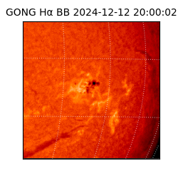 gong - 2024-12-12T20:00:02