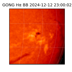 gong - 2024-12-12T23:00:02