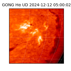 gong - 2024-12-12T05:00:02