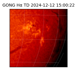 gong - 2024-12-12T15:00:22