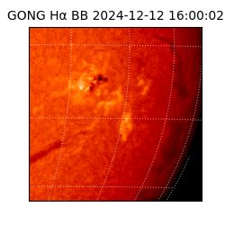 gong - 2024-12-12T16:00:02