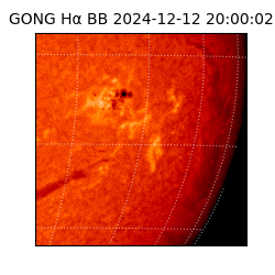 gong - 2024-12-12T20:00:02