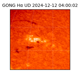 gong - 2024-12-12T04:00:02