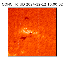 gong - 2024-12-12T10:00:02