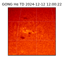 gong - 2024-12-12T12:00:22