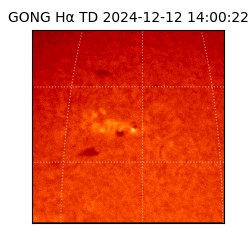 gong - 2024-12-12T14:00:22