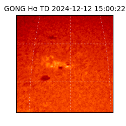 gong - 2024-12-12T15:00:22