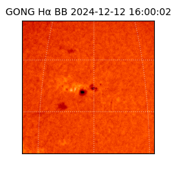 gong - 2024-12-12T16:00:02