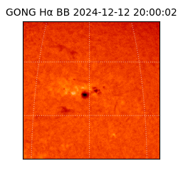 gong - 2024-12-12T20:00:02
