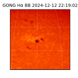 gong - 2024-12-12T22:19:02