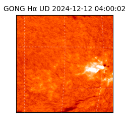 gong - 2024-12-12T04:00:02